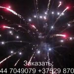 Большой куш (FP-B311) 6862 салют