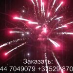 Большой куш (FP-B311) 6863 салют