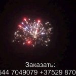 Красный лотос (FP-B364) 7266 салют