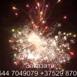 Красный лотос (FP-B364) 7268 салют