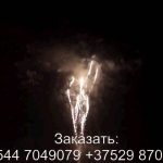 Красный лотос (FP-B364) 7269 салют