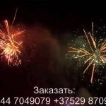 Красный лотос (FP-B364) 7271 салют