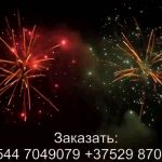 Красный лотос (FP-B364) 7272 салют