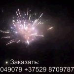 Ели в снегу (FP-B214) 6757 салют