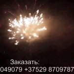 Ели в снегу (FP-B214) 6758 салют