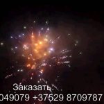 Ели в снегу (FP-B214) 6759 салют