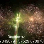 Ели в снегу (FP-B214) 6760 салют