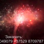 Ели в снегу (FP-B214) 6761 салют