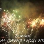 Новогоднее наступление (FP-B337) 7006 салют
