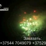 Огненный феникс (FP-B120) 6682 салют