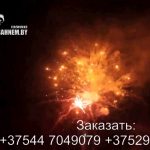 Огненный феникс (FP-B120) 6683 салют