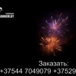 Огненный феникс (FP-B120) 6684 салют