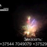 Огненный феникс (FP-B120) 6685 салют