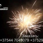 Огненный феникс (FP-B120) 6686 салют