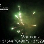 Огненный феникс (FP-B120) 6687 салют