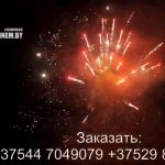 Огненный феникс (FP-B120) 6688 салют