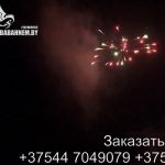 Пояс астероидов (FP-B108) 5571 салют