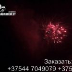 Пояс астероидов (FP-B108) 5573 салют