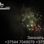 Пояс астероидов (FP-B108) 5576 салют