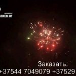 Замок (FP-B111) 6180 салют
