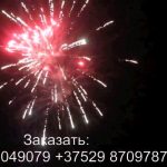 Огненный рай (FP-B324) 6597 салют