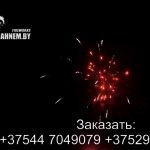 Фантазия (FP-B112) 6228 салют