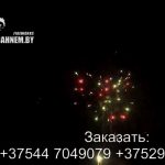 Фантазия (FP-B112) 6229 салют