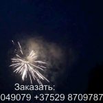 Огненная вечеринка (ТКВ219) 6110 салют