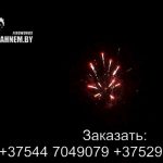 Фантазия (FP-B112) 6231 салют