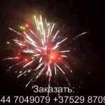 Рождественский экипаж (FP-B367) 7013 салют