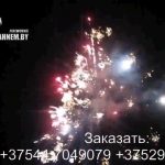 Огненный рай (FP-B324) 6599 салют