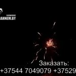Фантазия (FP-B112) 6232 салют