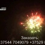 Замок (FP-B111) 6184 салют