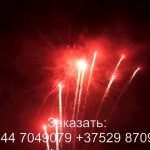 Остров сокровищ (FP-B365) 6923 салют
