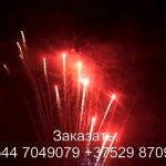 Остров сокровищ (FP-B365) 6924 салют