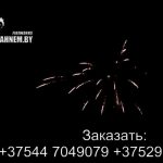 Фантазия (FP-B112) 6235 салют