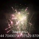 Остров сокровищ (FP-B365) 6925 салют