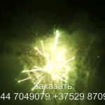 Остров сокровищ (FP-B365) 6926 салют