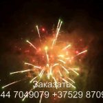 Остров сокровищ (FP-B365) 6927 салют