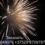 Огненный рай (FP-B324) 6603 салют