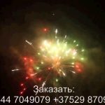 Рождественский экипаж (FP-B367) 7018 салют