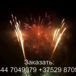 Остров сокровищ (FP-B365) 6928 салют