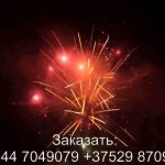 Рождественский экипаж (FP-B367) 7019 салют