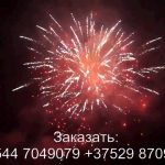 Война богов (FP-B368) 6990 салют