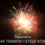 Остров сокровищ (FP-B365) 6929 салют