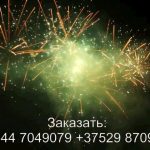 Остров сокровищ (FP-B365) 6930 салют