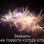 Остров сокровищ (FP-B365) 6931 салют