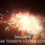 Остров сокровищ (FP-B365) 6933 салют
