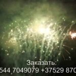 Встреча (FP-B335) 7036 салют