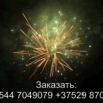 Встреча (FP-B335) 7037 салют